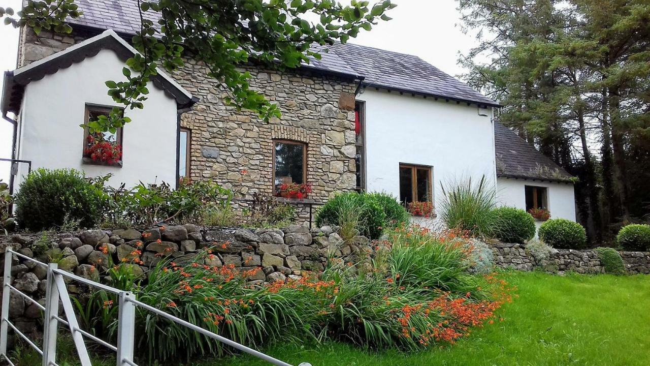 The Village Studio Apartments Moate Exteriér fotografie