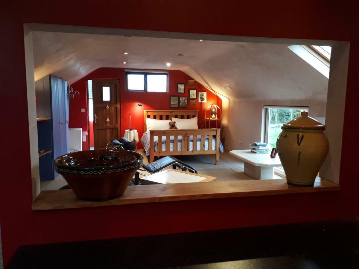 The Village Studio Apartments Moate Exteriér fotografie