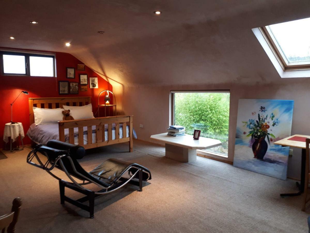 The Village Studio Apartments Moate Exteriér fotografie